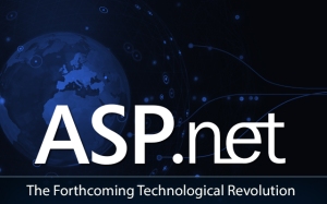 asp.net application development, hire asp.net developers, .net development services