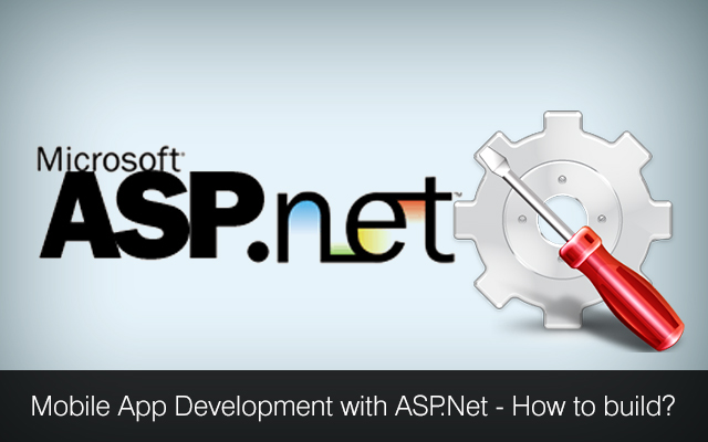 custom .net development company, asp.net development, hire asp.net devs