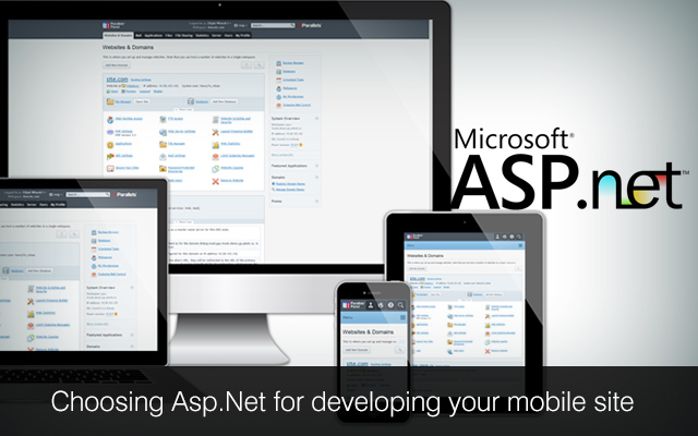 asp.net web development, .net development services, expert asp.net developers